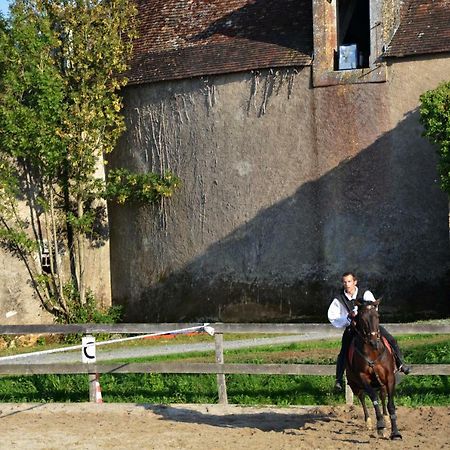 Bazoges-en-Pareds Chateau Des Noces المظهر الخارجي الصورة